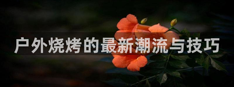 新宝gg测速登录