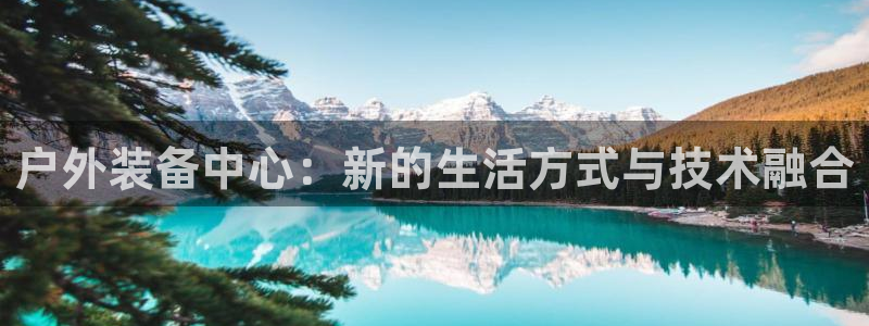 新宝gg软件下载