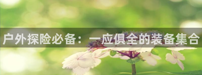 新宝gg娱乐官网