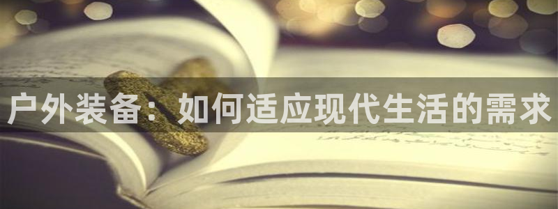 网站是新宝gg