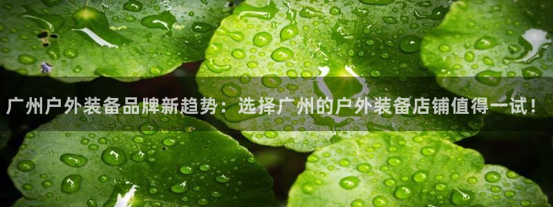新宝gg登陆