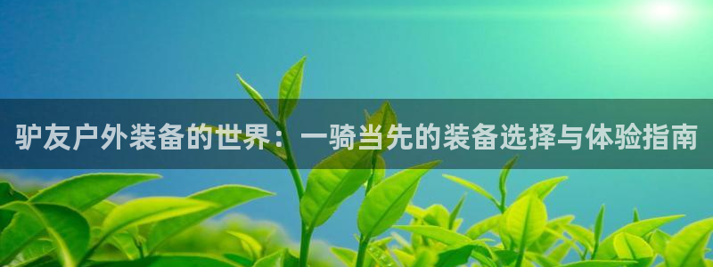 新宝gg代