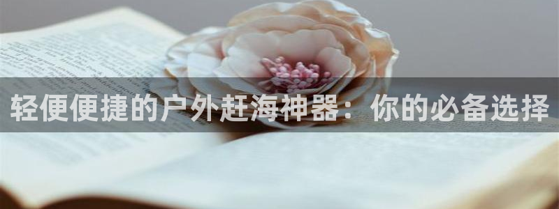 新宝gg--创