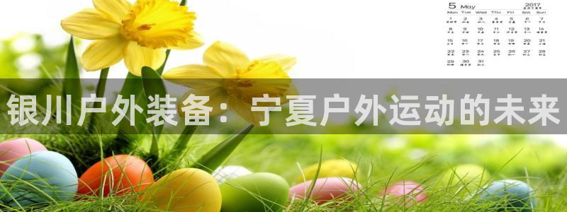 新宝gg网点