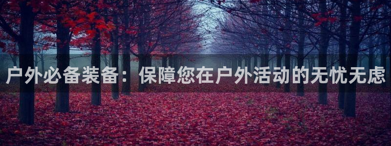 新宝gg盈亏