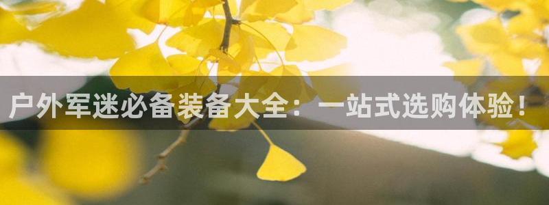 新宝gg官方下载