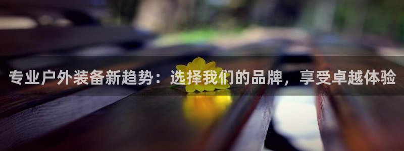 新宝gg登陆平台