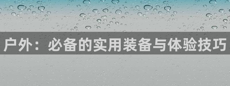 新宝gg介绍