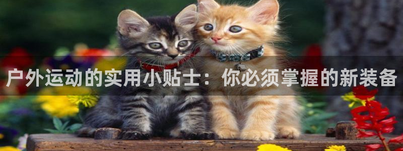 新宝GG股东