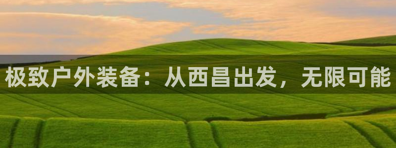 新宝gg 黑