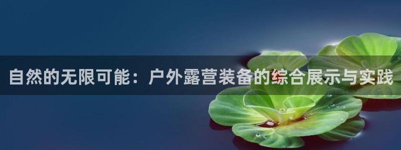 新宝gg提点