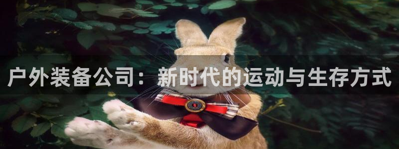 新宝gg怎样