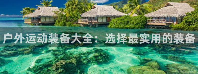 新宝gg-