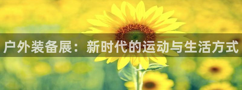 新宝gg好吗