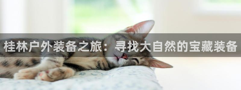新宝gg返点