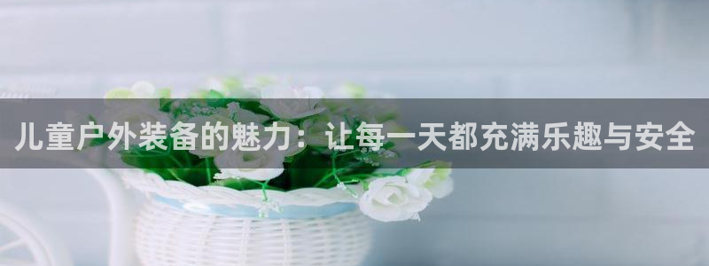 新宝gg登