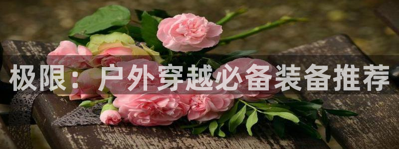 新宝gg博彩