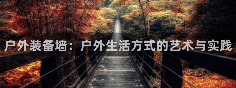 新宝gg—创造