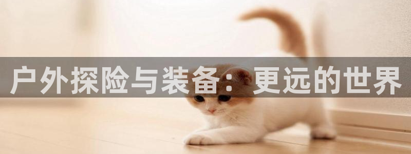新宝GG都有哪些计划
