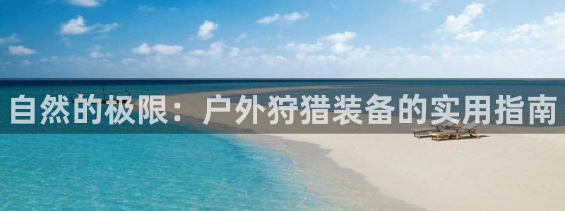 新宝gg开奖