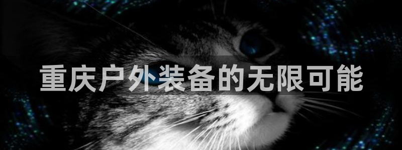 新宝gg什么