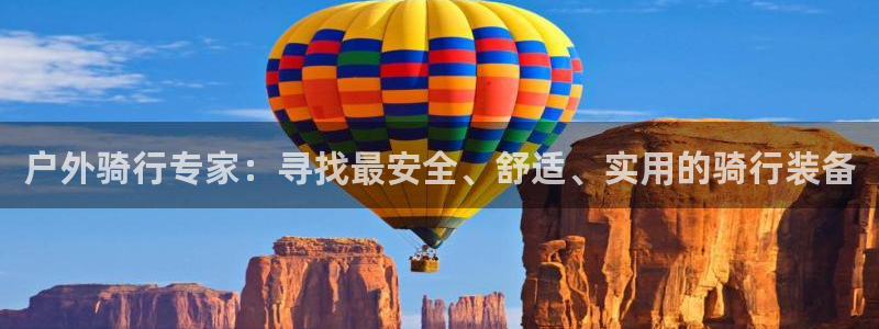 新宝gg代
