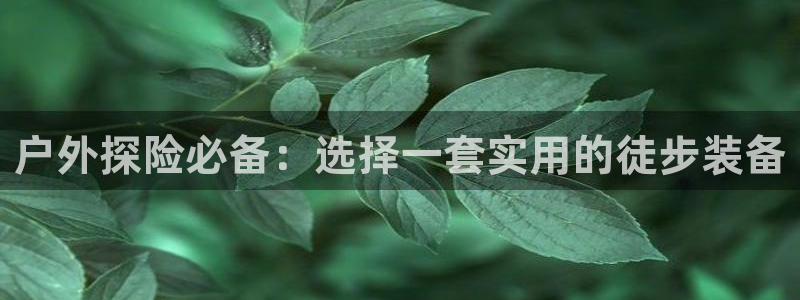 新宝六与新宝gg