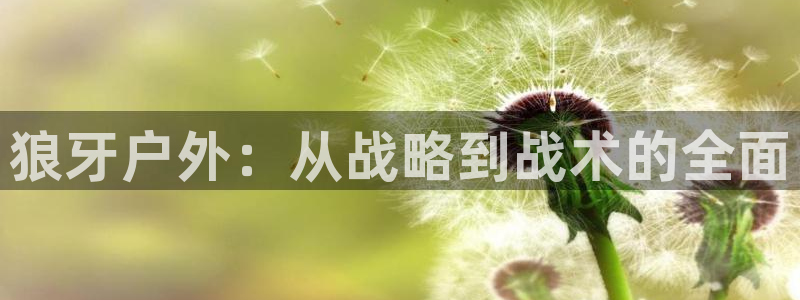 新宝GG的老板