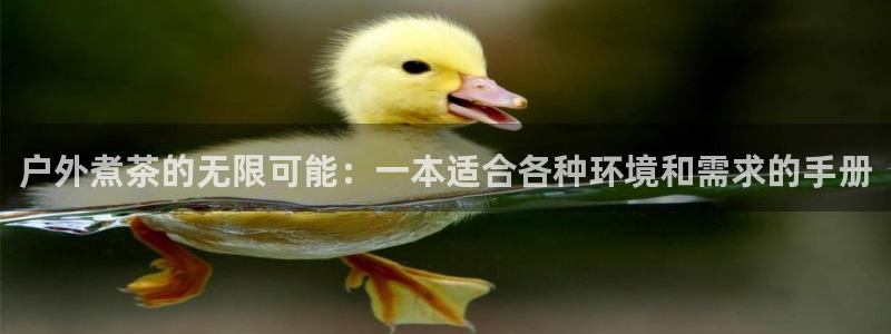 新宝gg账号