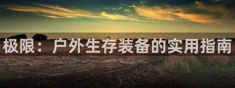 新宝gg怎么做代理