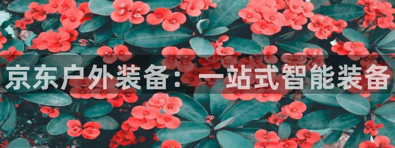 新宝gg招商89188