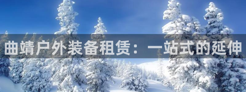 新宝gg代理条件