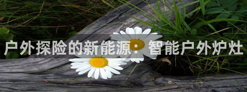 新宝gg官方主管