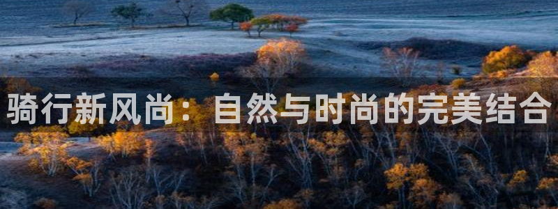 创造奇迹新宝gg