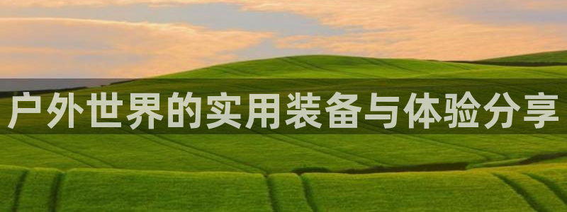 新宝gg重
