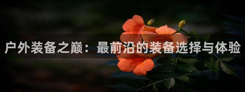 新宝gg 登陆