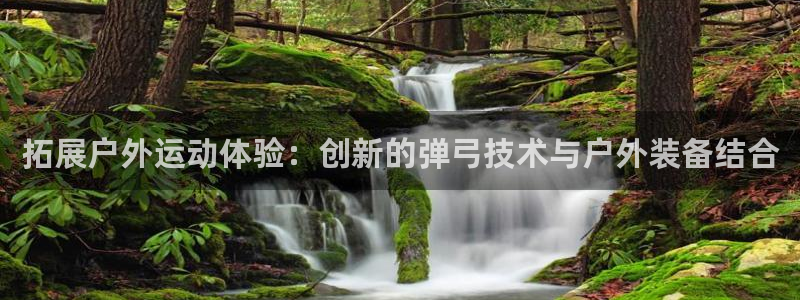 新宝GG管理