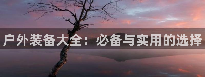 关于新宝GG