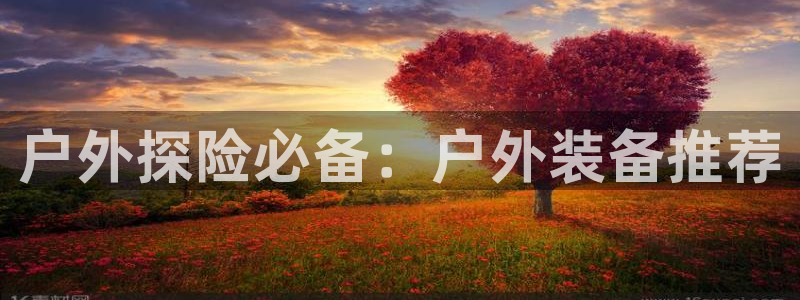 新宝gg账号