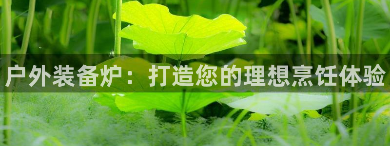 新宝gg是在境外吗