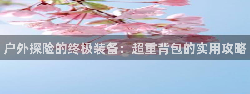 新宝gg 创造