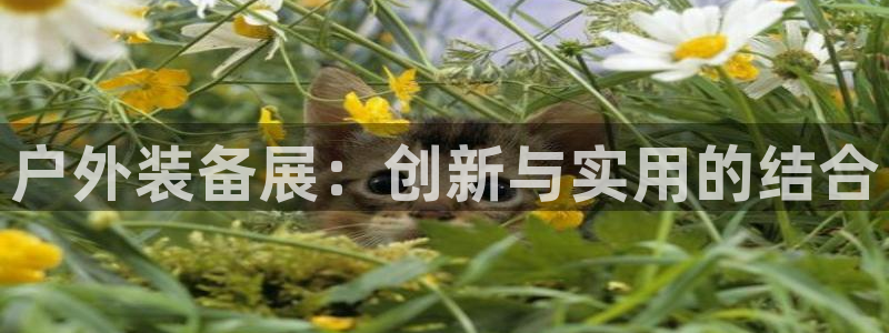 gg新宝创新