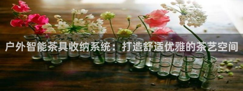 新宝gg怎么样