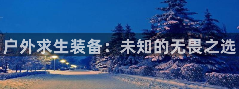新宝GG玩家