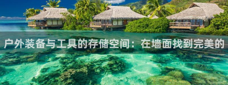 新宝gg招商致胜团队