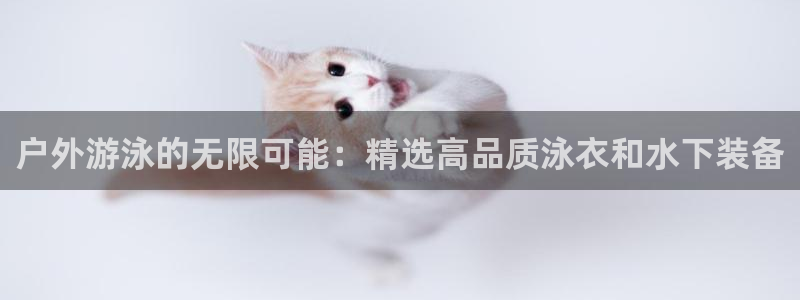 新宝gg 平台怎么样