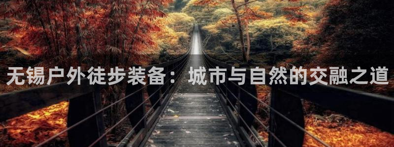 新宝gg合作