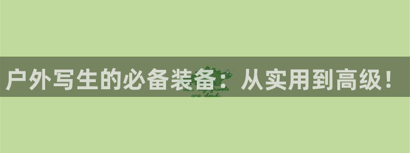 新宝gg用哪个浏览器