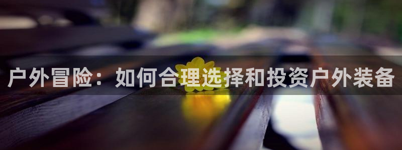 新宝gg运营88383