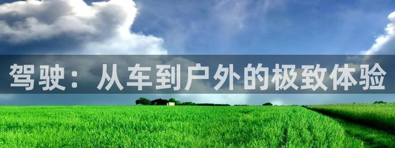 新宝gg最新章节